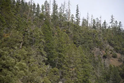 DSC_0180 (Large).JPG